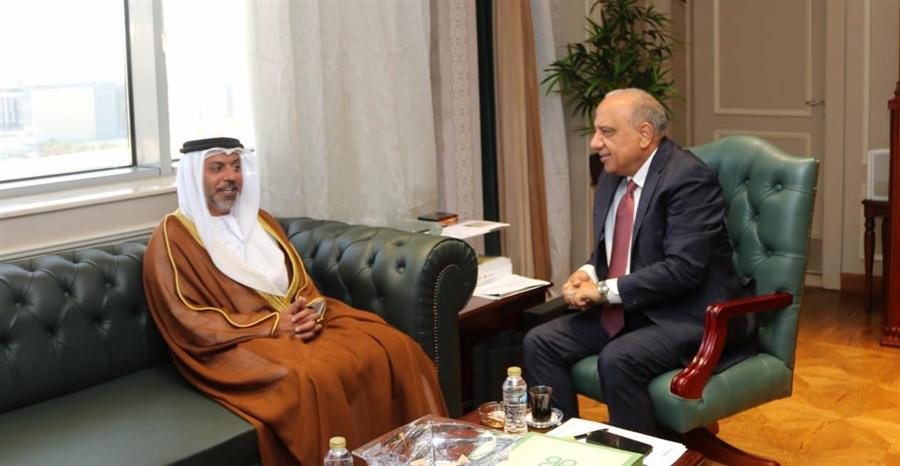 Egypt, UAE explore cooperation in renewable energy, battery storage